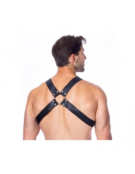 Arnes Ajustable de Cuero con Hebillas