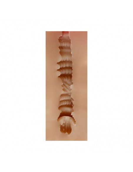 Masturbador Masculino Vagina Judith Skin