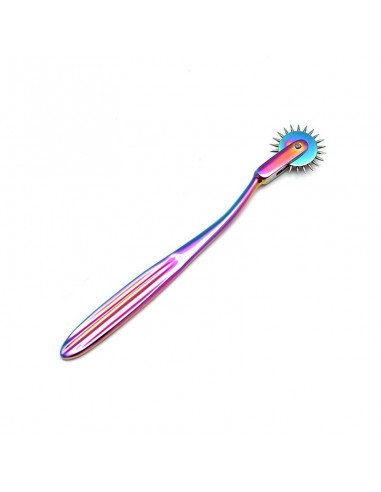 Rueda de Dolor Multicolor 1
