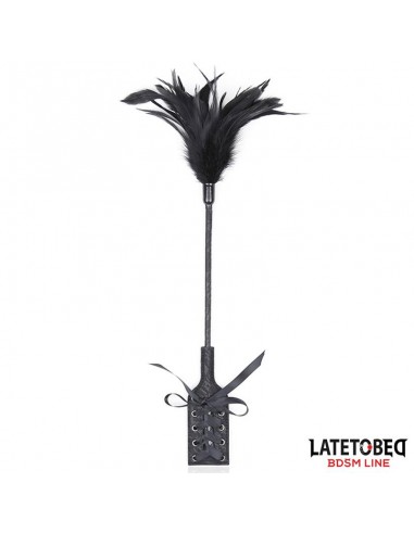 Multi Feathers Tickler and Lace Ribbon Paddle Comb