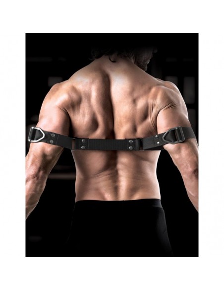 Correas para Biceps
