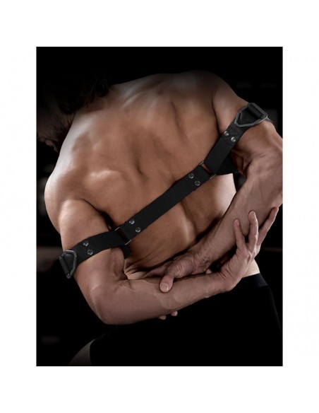 Correas para Biceps