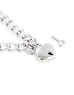 Collar con Candado Metal Talla M 44 cm 2