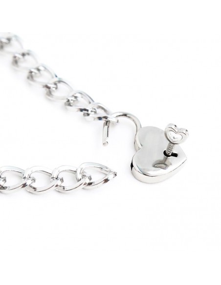 Collar con Candado Metal Talla M 44 cm