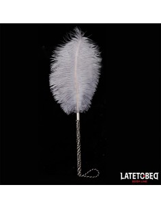 Pluma Estimuladora 44 cm