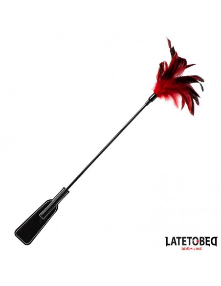 Pala con Plumas 2 en 1
