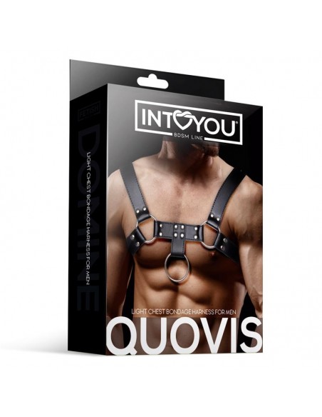 Quovis Arnes Masculino para Bondage Cuero Vegano