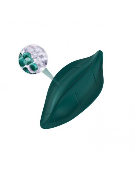 Vibrador de Braguita