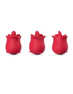 Rosa con Licking y Vibracion USB 2